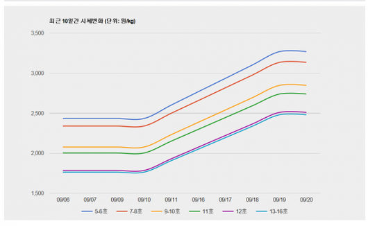 아시아경제