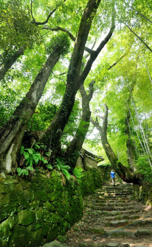 고영완 가옥으로 가는 길