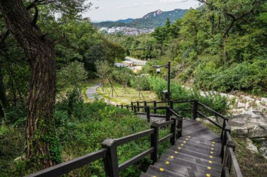 군 순찰로를 보완해 만든 탐방로