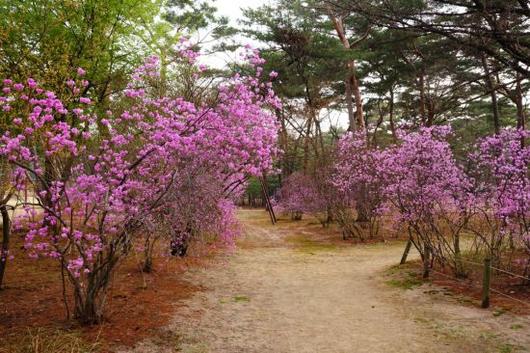 아시아경제