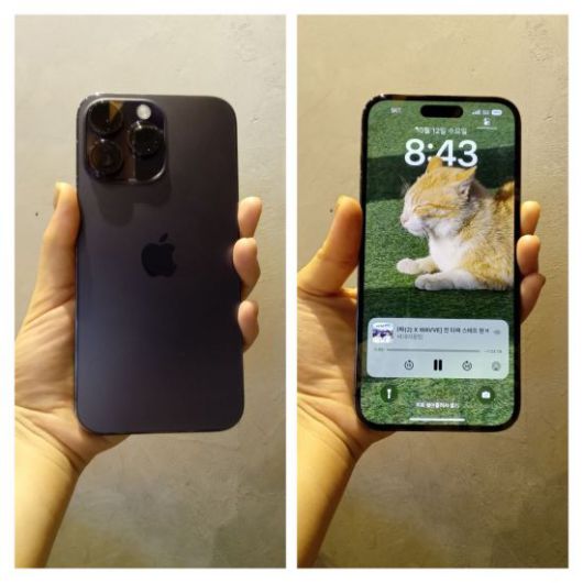 아이폰14 프로맥스