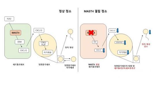 아시아경제