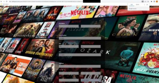 보안접속 확인 이후 연결되는 피싱 페이지