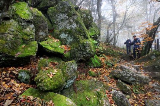 원시림의 자연이 그대로 살아있는 지리산