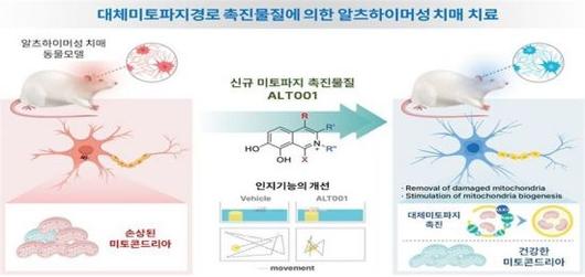 아시아경제