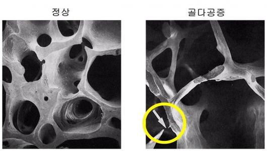 아시아경제