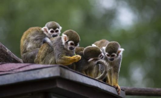 [이미지출처=게티이미지뱅크]