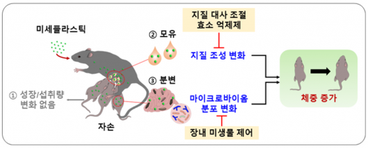 아시아경제