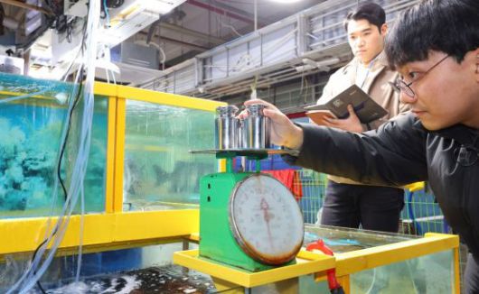 지난 5일 오후 인천 남동구 소래포구 종합어시장에서 남동구청 합동점검반이 접시 형태 저울을 점검하고 있다. [이미지출처=연합뉴스]