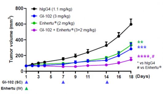 유방암 쥐 모델에서 GI-102와 ADC 약물인 엔허투를 병용했을 때 항암 활성 시너지가 나타난 그래프[사진제공=지아이이노베이션]