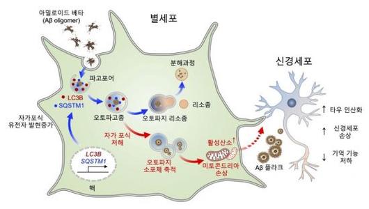 아시아경제