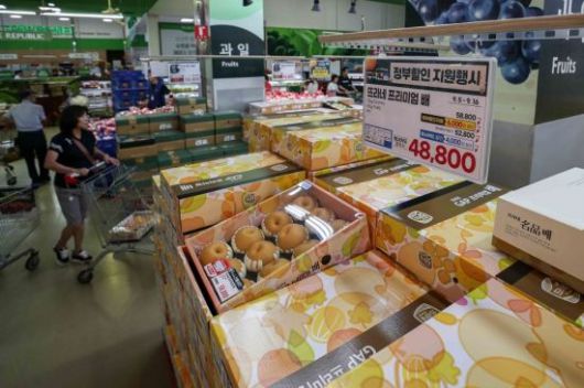 추석을 앞두고 지난 5일 서울 서초구 하나로마트 양재점에서 배 선물세트를 판매하고 있다. 사진=강진형 기자aymsdream@