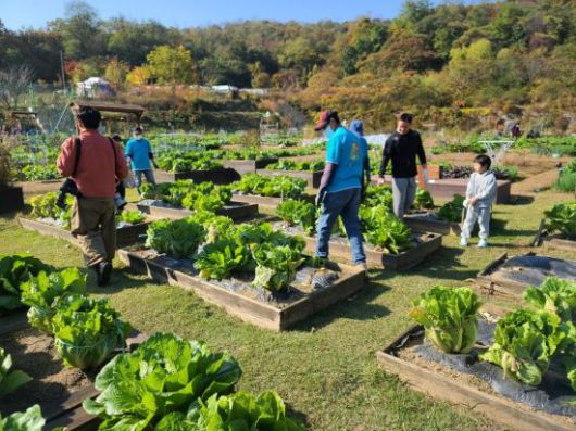 관악구 강감찬 텃밭