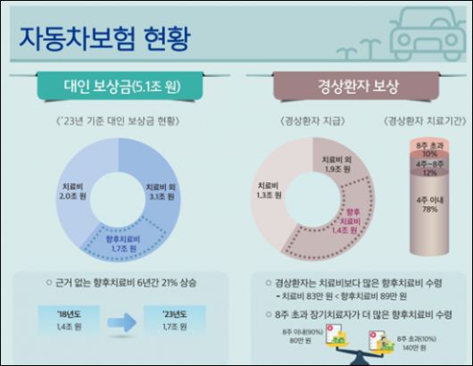 자동차보험 현황. 금융위원회 제공
