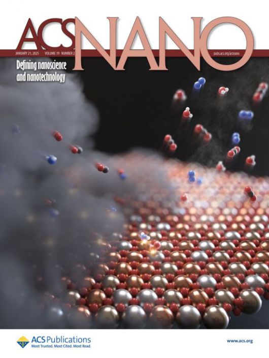 ACS Nano 표지 이미지. 촉매 표면(바닥에 깔린 물질)에서 미세먼지 전구체가 반응하는 모습을 형상화 했다.