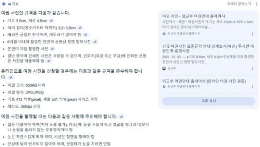 구글에서 '여권사진 규격'을 검색한 결과.