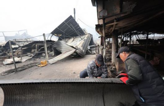 지난달 27일 경북 안동 임하면에서 한 농민이 훼손된 축사를 수리하고 있다. 연합뉴스