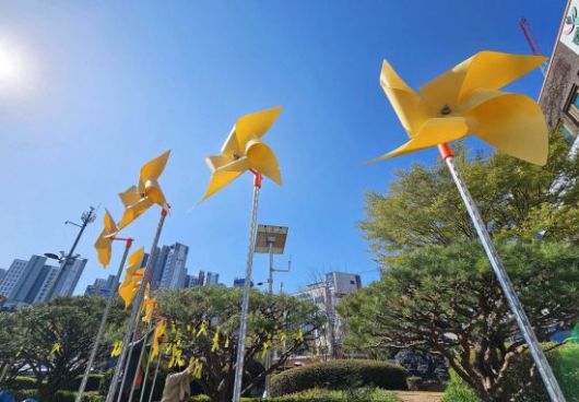 세월호 참사 11주기를 아흐레 앞둔 7일 광주 북구청 광장에서 구청 인권교육과 직원들이 광장 화단에 바람개비와 노란 리본 등을 설치하고 있다. 광주 북구 제공 연합뉴스