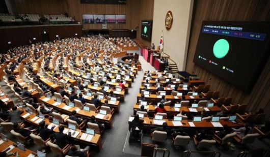 17일 국회에서 열린 본회의에서 12·29 여객기 참사 피해구제 및 지원 등을 위한 특별법이 통과되고 있다. 2025.4.17 김현민 기자