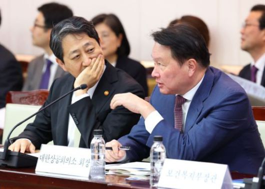 안덕근 산업통상자원부 장관과 최태원 대한상공회의소 회장이 17일 정부서울청사에서 열린 제6차 2025년 아시아태평양경제협력체(APEC) 정상회의 준비위원회에서 대화하고 있다. 연합뉴스