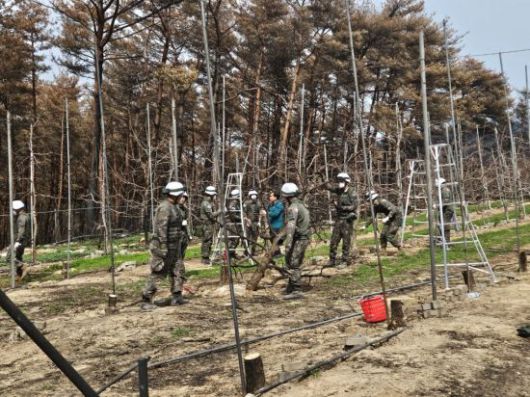 제50사단 영덕대대, 산불 피해 농가에 일손지원 나서. 영덕군 제공