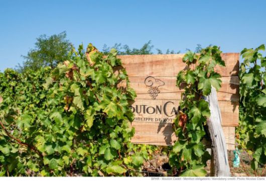 '무똥 까데(Mouton Cadet)'의 상징 '바르바쿠스(Barbacchus)'.