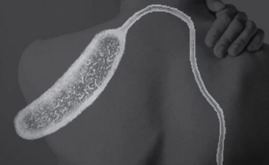 최근 독일과 영국에서 콜레라 환자가 발생한 가운데 원인으로 한 관광지역에서 '성수'라고 홍보하는 우물 때문인 것으로 알려졌다.  19일(현지시간) 영국 일간 미러 등 외신은 유럽 질병예방통제센터(ECDC)의 발표를 인용해서 영국에서 4명, 독일에서 3명의 콜레라 환자가 발생했다고 보도했다. 아시아경제DB