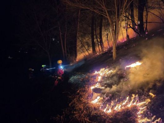 지난달 의성산불 현장에서 공중진화대가 야간 산불 진화활동을 벌이고 있다. 산림청 제공