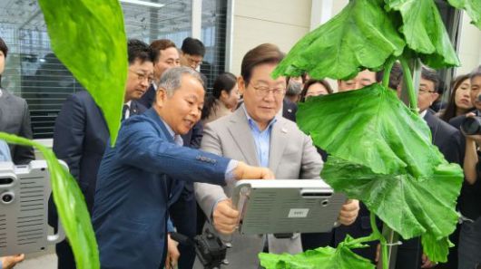 이재명 후보가 에너지자립형 스마트팜 연구동에서 재배되고 있는 작물을 직접 살펴보고 있다. 심진석 기자