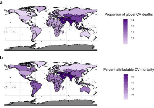 DEHP 노출은 2018년 전 세계에서 발생한 35만6238건의 심장질환 사망과 관련이 있는 것으로 나타났다. 프탈레이트 노출로 인한 심장질환 사망 가운데 중동과 남아시아가 전체의 42%, 동아시아와 태평양 지역이 32%를 각각 차지하는 것으로 분석됐다. Lancet eBiomedicine/Leonardo Trasande et al.