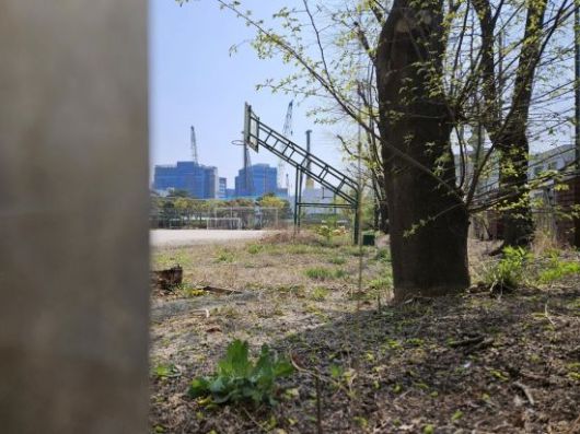 2024년에 폐교된 성수공업고등학교 운동장에 잡초가 무성하다. 윤동주 기자