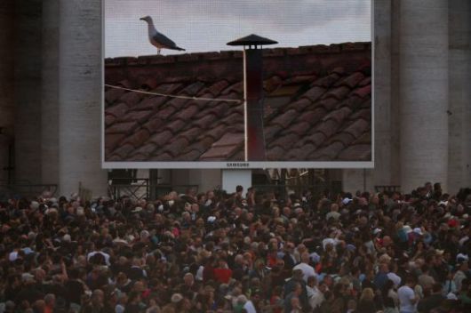 콘클라베 현장을 지킨 갈매기들은 이날 사회관계망서비스(SNS)에서도 반향을 일으켰다. 가톨릭 매체인 '라이프사이트'도 엑스(X·옛 트위터) 성당 지붕에 앉아있는 갈매기 사진을 게시하고는 "이 갈매기가 우리 모두의 모습"이라고 적었다. 로이터·연합뉴스