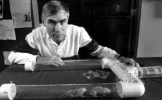 폴 셔먼 미 코넬대 교수는 인류의 매운 맛 선호가 나중에 학습된 문화적 산물임을 발견한 동물행동학자다. 인간은 식품 보존 기간을 늘리기 위해 어쩔 수 없이 각종 향신료의 매운 맛에 익숙해져야만 했다. 코넬대 학보사 캡처