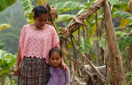 기후변화로 인한 바나나 생산량 감소로 큰 피해를 겪고 있는 라틴아메리가 지역 바나나 재배 농가 주민들의 모습. 크리스천 에이드 제공.