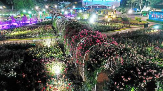 오는 16일 개막되는 제15회 곡성세계장미축제장 야경. 곡성군 제공