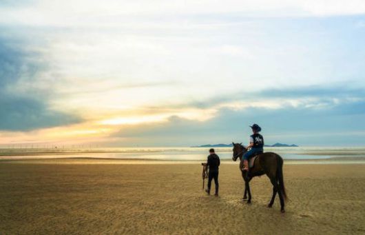 말을 타고 명사십리를 해변을 거닐고 있다