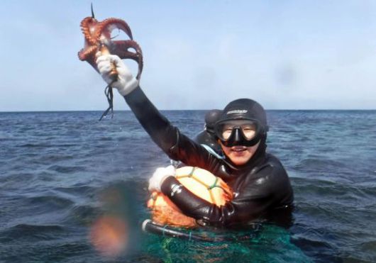 제주 해녀체험에 나선 관광객이 문어를 잡아 보이고 있다