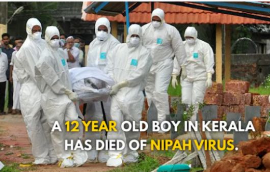 인도 케랄라 주에서 니파 바이러스에 감염된 12세 소년이 사망했다. 인디아 투데이 유튜브 캡처