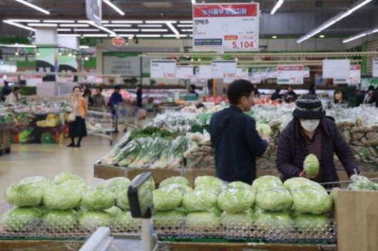 지난 3월24일 서울 양재 하나로마트에 양배추가 진열되어 있다. 윤동주 기자