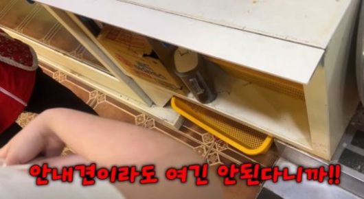 한 시각장애인 유튜버가 안내견을 데려왔다는 이유로 부산 횟집에서 냉대를 받다 결국 가게를 떠난 영상을 공개해 공분을 자아내고 있다. 유튜브 채널 '우령의 유디오'