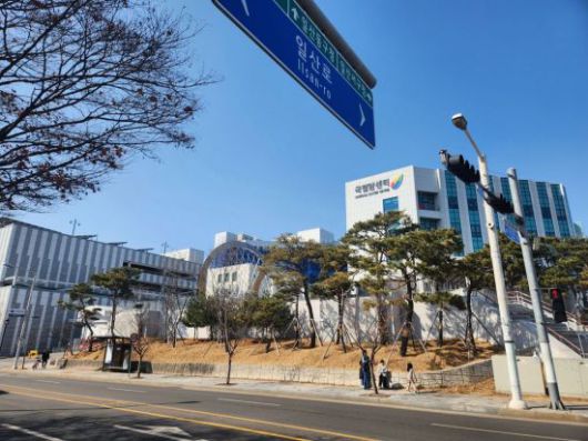 금연구역으로 지정된 국립암센터 주변 인도. 고양특례시 제공