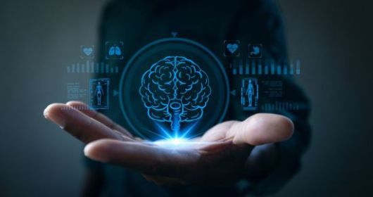 손 위에 뇌와 인간의 신체를 그린 홀로그램이 떠 있다. 게티이미지뱅크