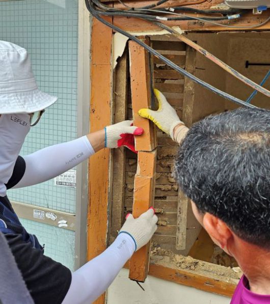 2023년 창원에서 발견된 서부마른나무흰개미(Incisitermes minor)는 기후변화로 활동 범위가 더 넓어질 수 있다.