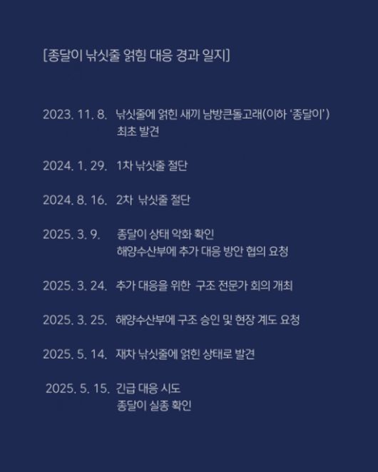 종달이 구조 일지. 제주 돌고래 긴급 구조단 제공