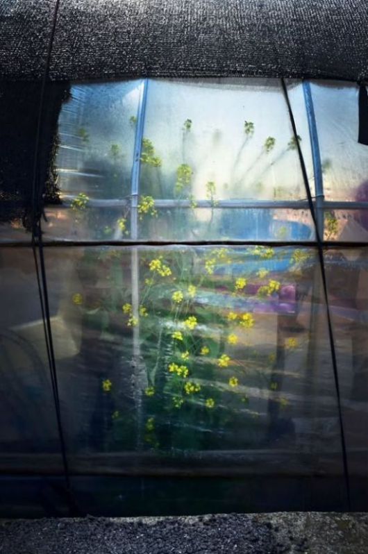 김도형 인스타그램