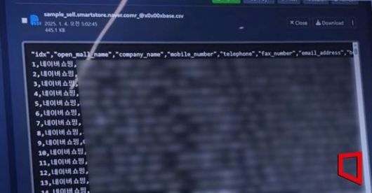 올해 1월 다크웹 마켓에 올라온 네이버 스마트스토어 과거 판매자들의 개인정보 샘플파일. 이들의 스토어명, 휴대전화번호, 이메일 주소, 생년월일 등이 적혀있다. 다크웹 화면 캡처