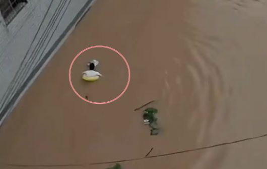 폭우에 튜브를 타고 학교로 향하는 학생 모습. 웨이보.