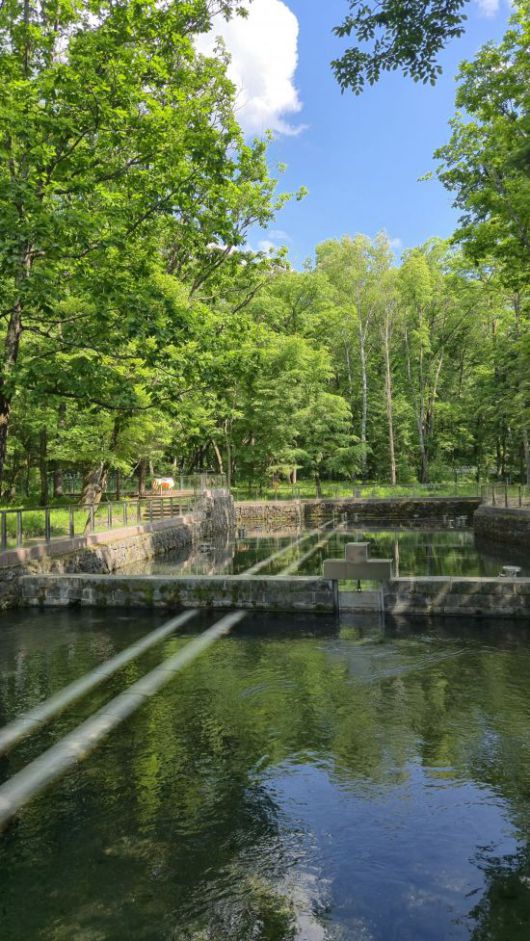 농심 백산수의 수원지인 백두산 '내두천' 전경.[사진=구은모 기자]
