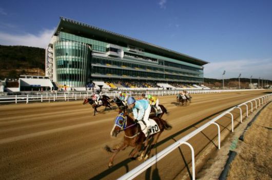 부산경남경마공원 전경. 부산경남경남공원 제공