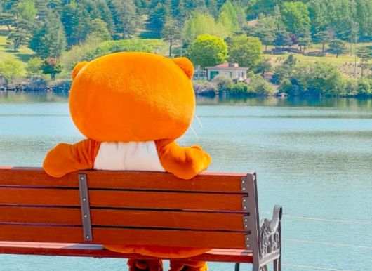 패배 소식을 알린 충주씨 인스타그램